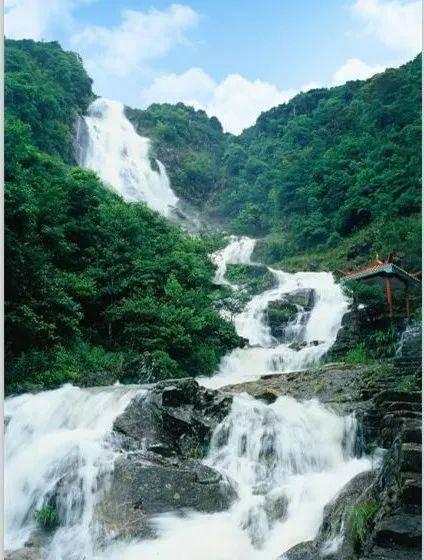 脑洞小老弟无实名认证